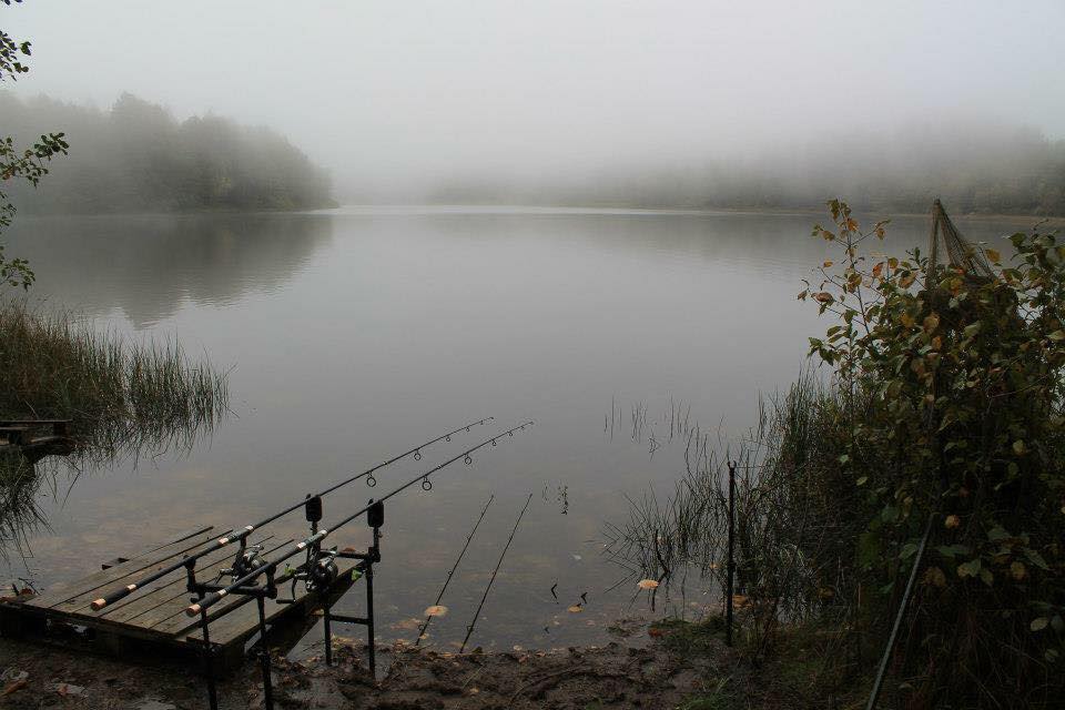 Poste de pêche de la carpe en action